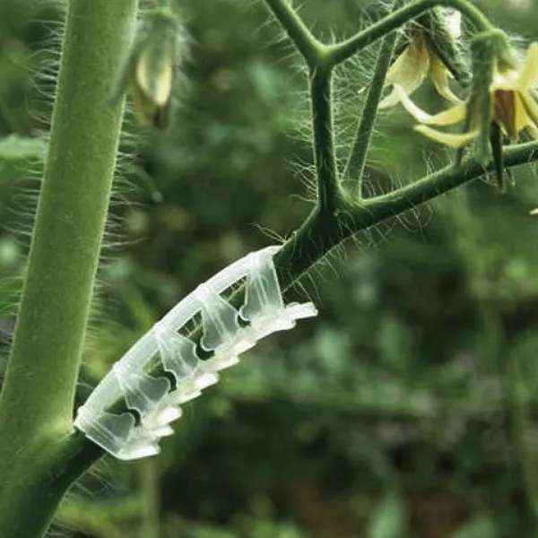 Accordion Arch Application