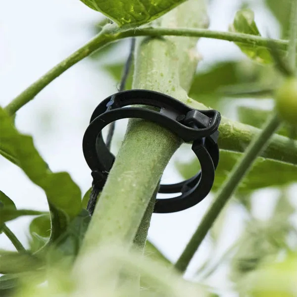 Economical Clip Application